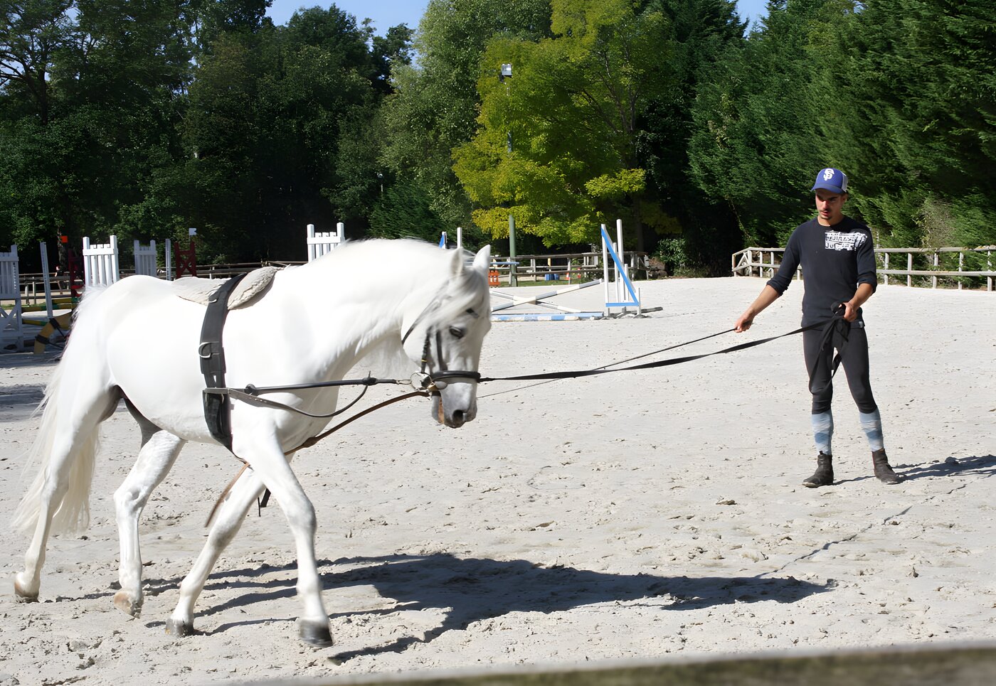 Services à la carte