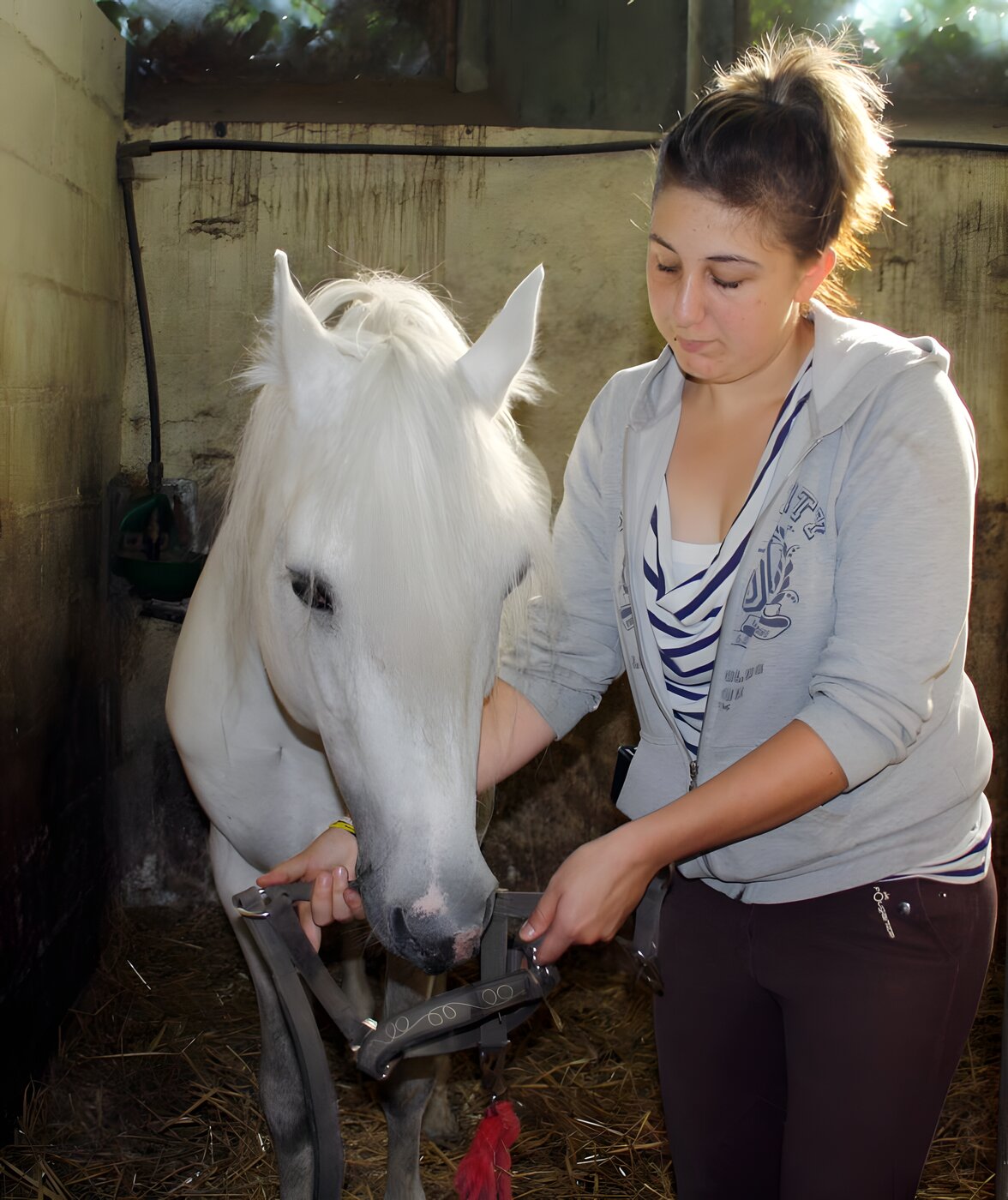 Sortie des pensionnaires