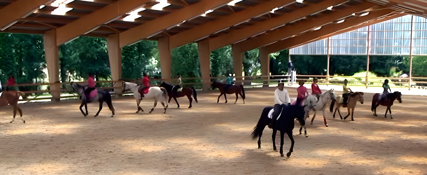 Equifun & Dressage